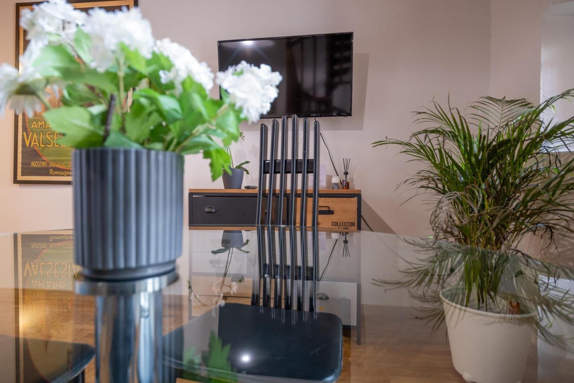 Lungarno Buozzi 7 Apartments Πίζα Εξωτερικό φωτογραφία